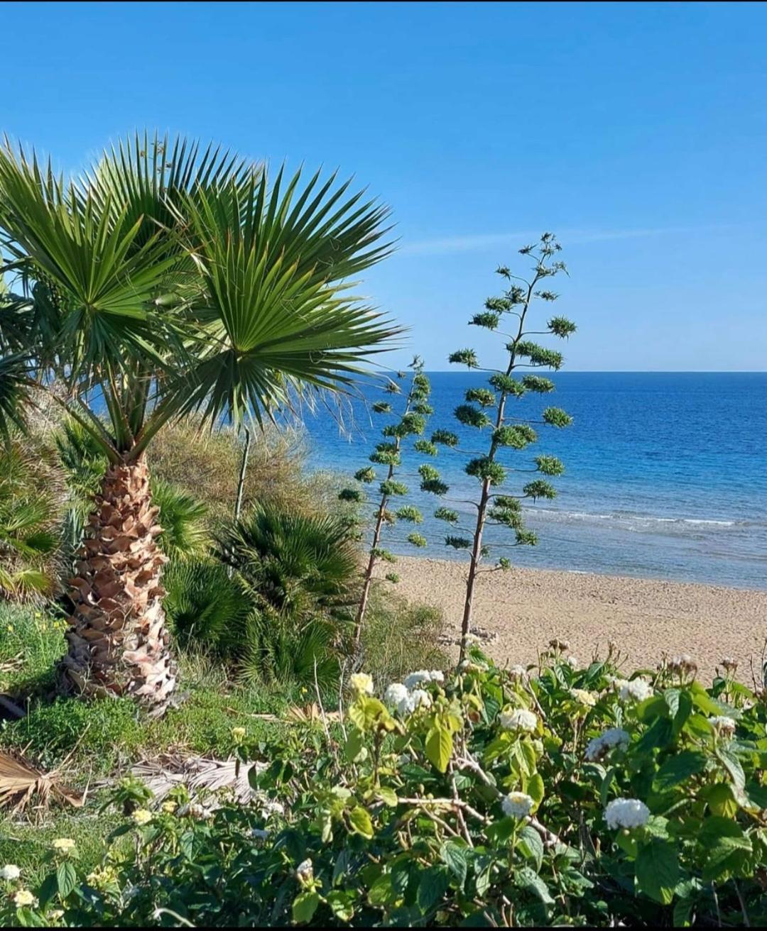 אבולה Villa Sul Mare Don Toto' מראה חיצוני תמונה